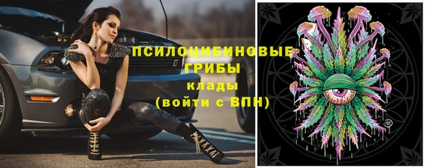 хмурый Балахна