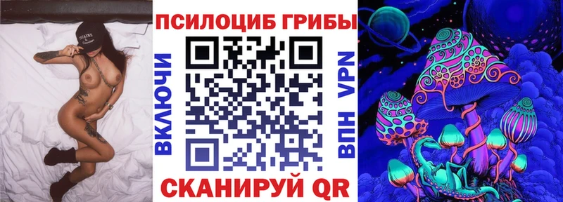 хочу   Углич  Галлюциногенные грибы Psilocybe 